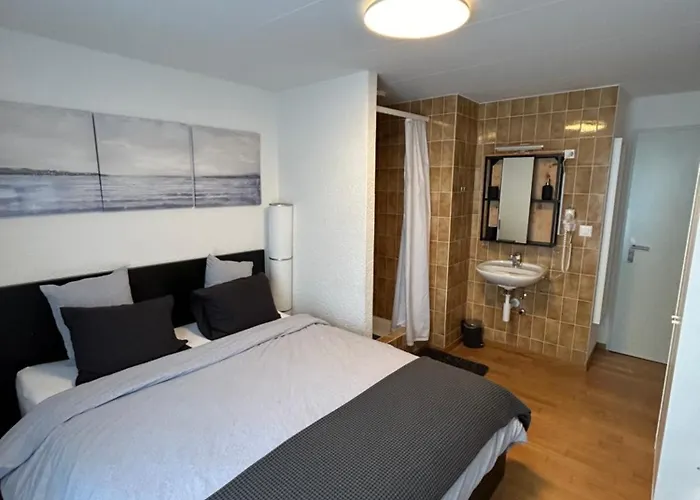 Thurpark Otel Wattwil